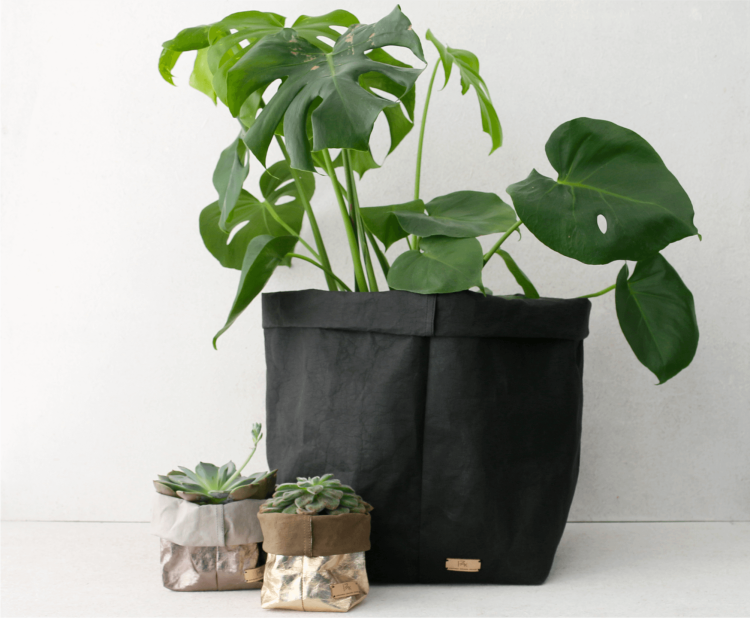 duża doniczka do salonu.png