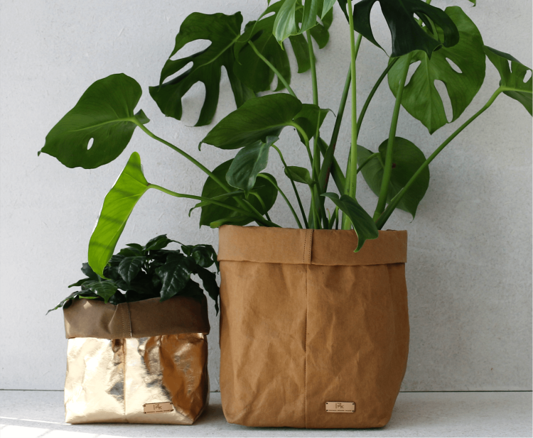 doniczki ekologiczne.png